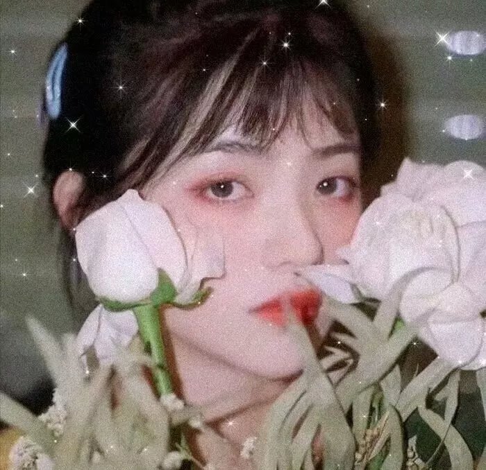 幽暗骏马 海报