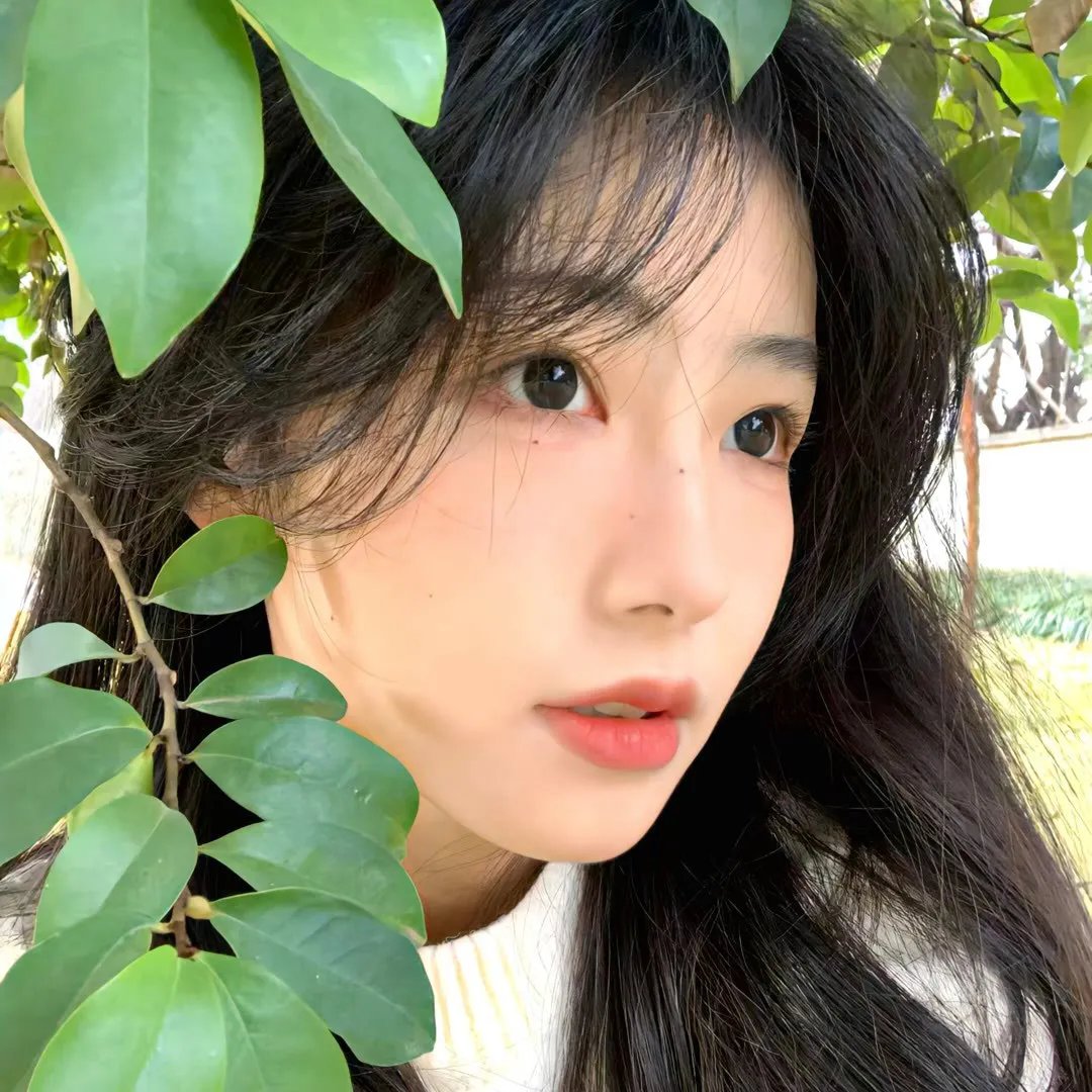 淑女怀春 海报
